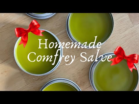 Homemade Gift: Comfrey Salve | DIY Healing Salve | Vlogmas Day 7