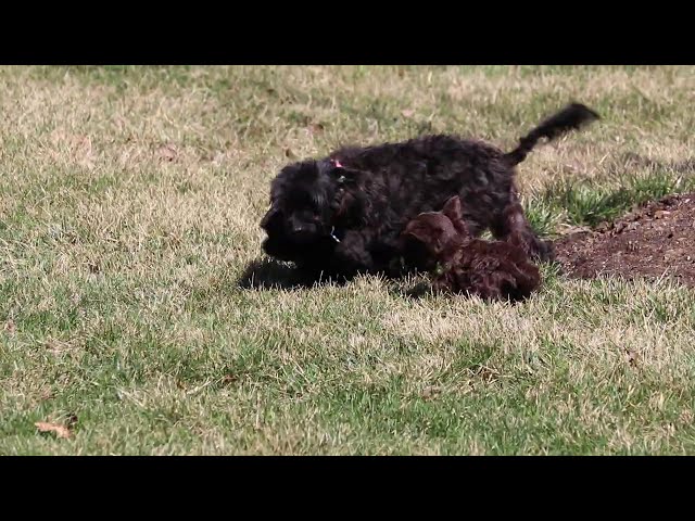 Hayden video thumbnail