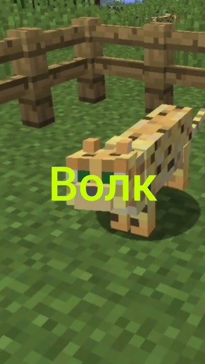 Мобы майнкрафта часть 1#minecraftshorts - YouTube
