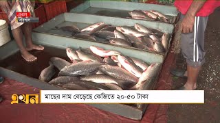 বাজারে দাম বেড়েছে সবজি, মাছ ও মুরগির | Bazar Update | Ekhon TV