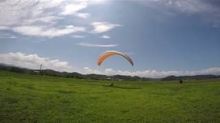 20170715 #1 (油) LD