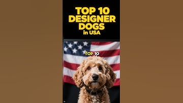 TOP 10 DESIGNER DOGS in USA 2025 🐶 Best Hybrid Dog Breeds Information & Training Tips 101 Videos!