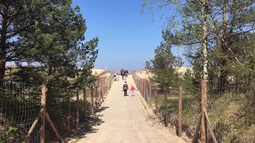 Zhiyun Smooth Q + iPhone SE - Video Sample