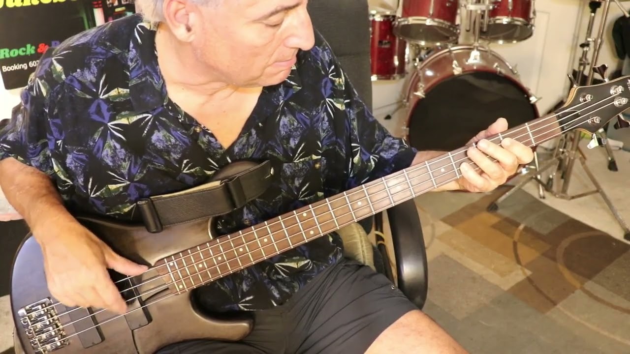 Lies (Bass Cover) The Knickerbockers