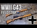 WWII German G43 Semi-Automatic Rifle Field Strip