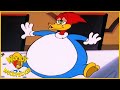 Woody Woodpecker Show | Bavariannoying | Woody Woodpecker Full Episode | Kids Cartoon | Kids Movies