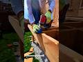 Joining Wood with Modern Fastening Techniques!