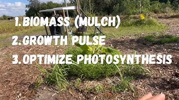 Filling in the gaps with Napier 