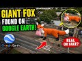 Google Earth Par Mila GIANT FOX 😱 | Real Ya Fake?