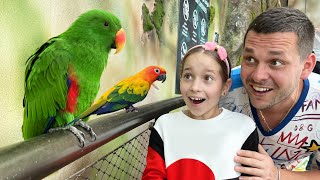 София в контактном зоопарке в Дубае! Sofia feeds animals at the Zoo