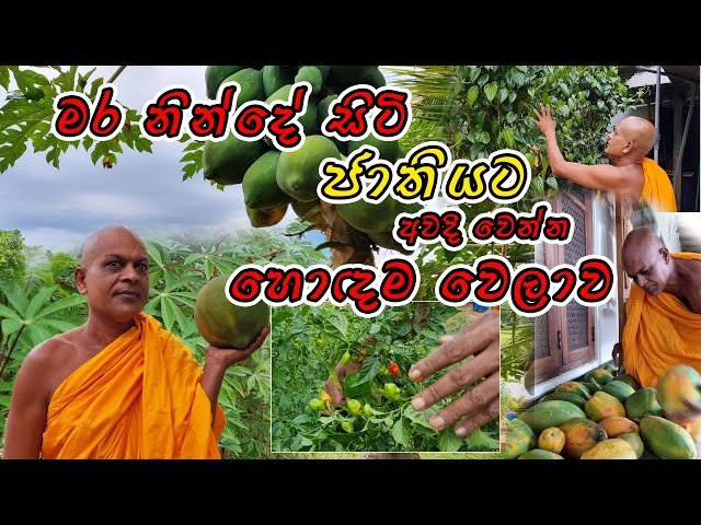 Ampitiye Sumanarathana Himi - ජාතියක් විදිහට ඇස් අරින්න කාලේ හරි