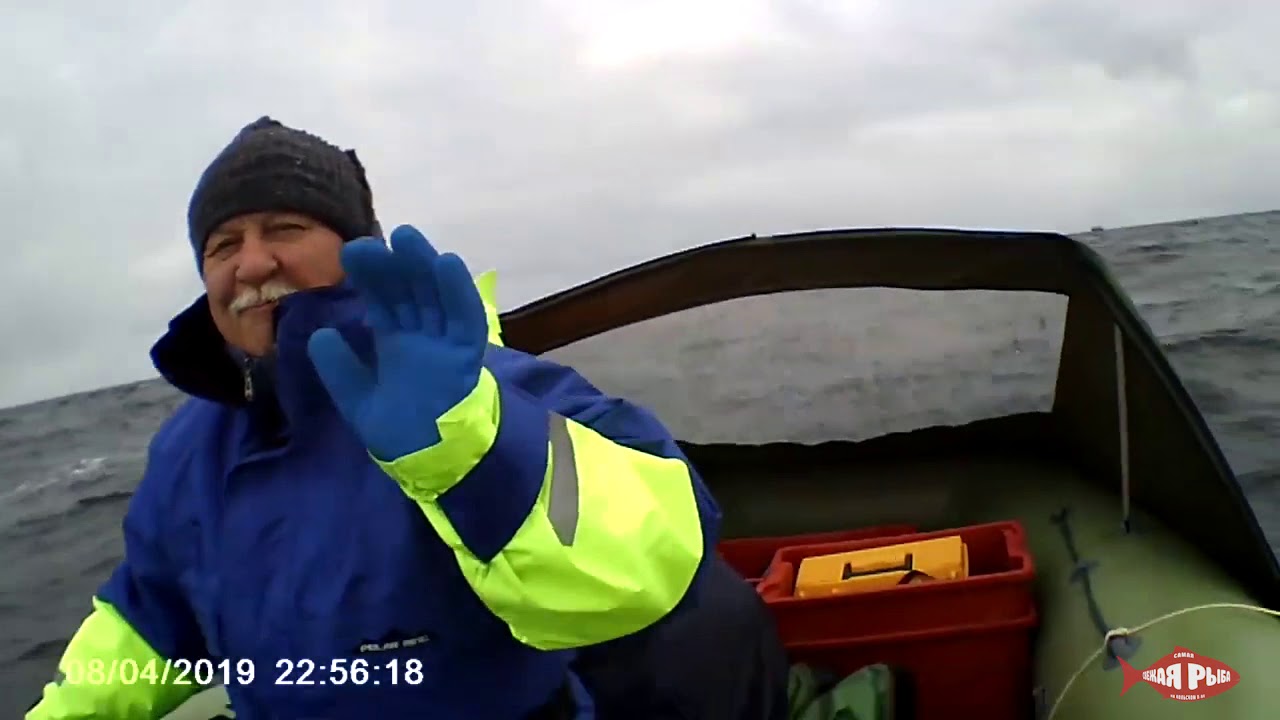 Алекс море Алекс море