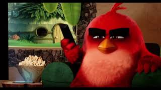 The Angry Birds 3   Official Trailer 2021 : تریلر انیمشین پرندگان خشمگین 3 2021