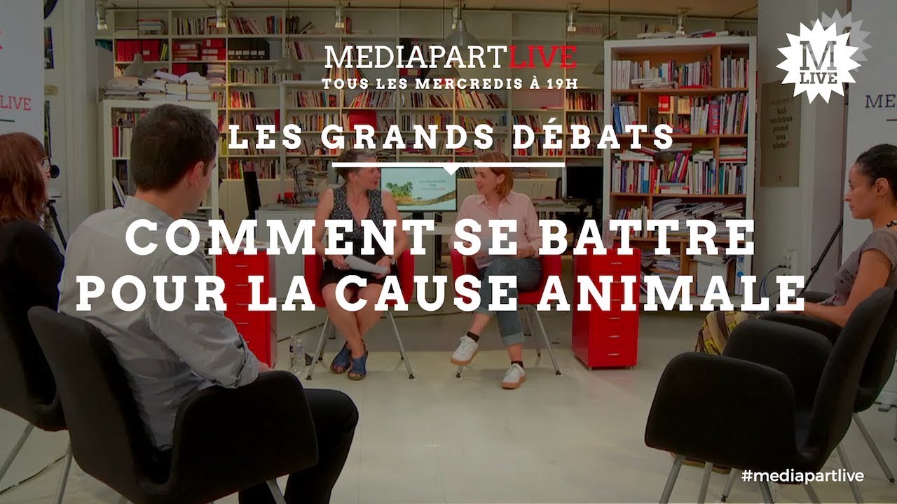 « Il faut politiser la cause animale »