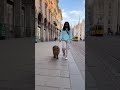A female teen walking a capybara in Milan #shortsfeed #shortvideo #shorts
