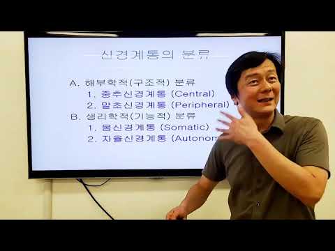 인체질환12: 뇌졸중