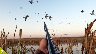 OPENING DAY Duck Hunt in FLOODED CORN! (Limited Out) | 28 Gauge Duck Hunting