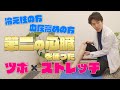 『驚き!』第二の心臓を活性化するだけで血圧がこんなに変わった!?