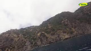 Live fishing at Catalina Thursday! | Your Saltwater Guide Show w/ Captain Dave Hansen #482