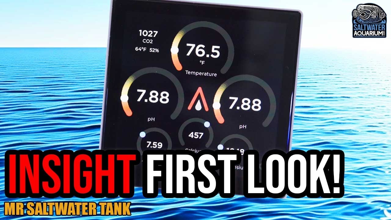 Идеальное обновление Apex? | Обзор и настройка AvidAqua InSight - Марк Каллахан, мистер Морской А...