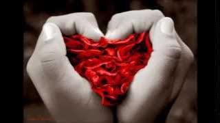 Jani Lane - 1/3 No Junjou Na Kanjou (English)