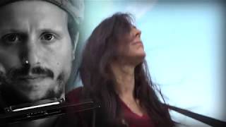 Sleepwalker's station - Where the dogs sleep (official video)