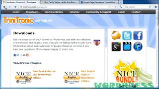 Famous WP 3x Tutorial 52 How to Install a Paypal Button Profile