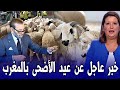 خبر عاجل من الحكومة عن شعيرة عيد الاضحى المبارك بالمغرب اخبار المغرب اليوم السبت 21 مارس 2026 