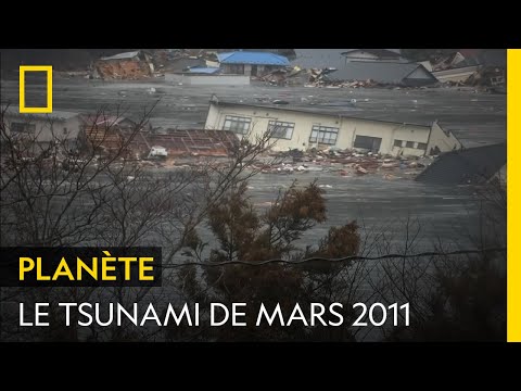 Vidéo: De quand date le tsunami au Japon ?