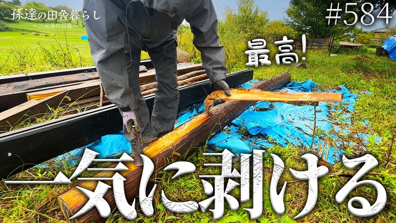 皮剥き】廃墟に生えていた杉の木丸々1本を超綺麗に剥く! #584 - YouTube