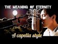 A capella style - The meaning of eternity - Dimash Kudaibergen. HD isolation.