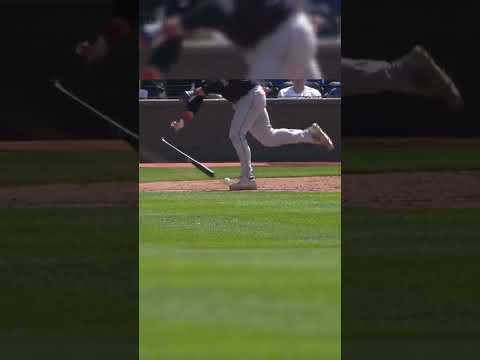 Austin Hedges Trips