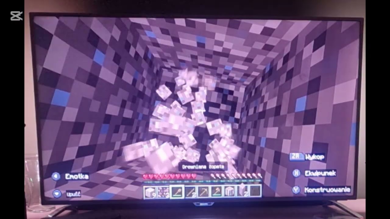 Minecraft nintendo switch gameplay