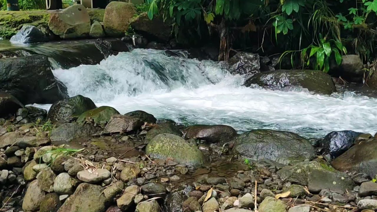 🌊 River Sounds for Sleep & Relaxing | Peaceful Flowing Water Ambience Live