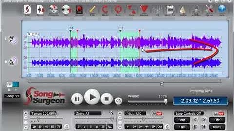 Training Video: Global vs. loop settings in Song Surgeon