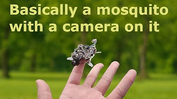 This Tiny 3D Printed Drone Gets Mistaken For A Bug - FPV in NYC
