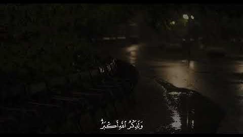 إن الصلاة تنهى عن الفحشاء والمنكر.. القارئ عبد الرحمن مسعد