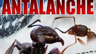 Sharknado Sequel: Antalanche