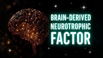 🧠 BDNF Enhancement | Neuroplasticity Foundation + Cognitive Resilience
