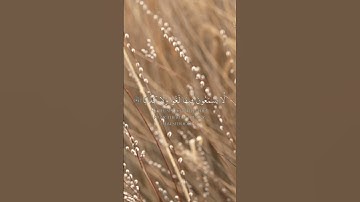 تلاوة عطرة. 🌼♥️#تلاوات #تلاوة_خاشعة #اكسبلور #راحة_نفسية #قران_كريم #قرآن #احمد_حمادي