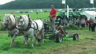 PferdeStark 2017: Präsentation landwirtschaftlicher Zuggeräte sowie Leistungspflügen