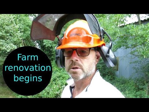 A quick look at the orchard - My French homestead renovation continues