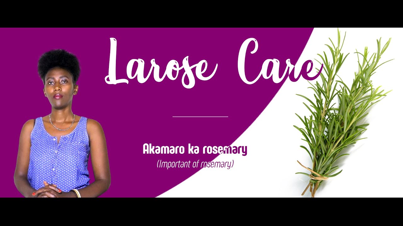 Akamaro ka rosemary (Importance of rosemary) YouTube