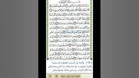 سورة النبأ - أيمن سويد - مكررة للحفظ الآية ١٠مرات ثم المقطع ١٠ مرات - القسم ٢ - من الآية ١ للآية ٣٠
