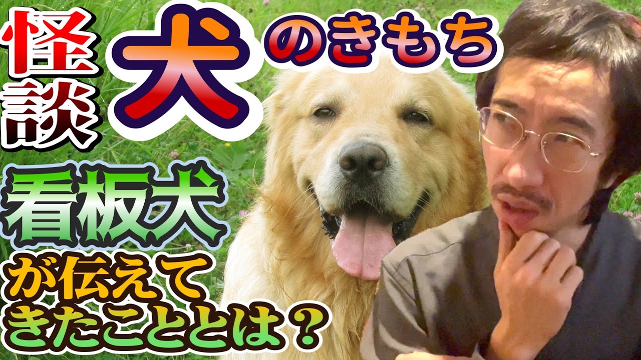 【怪談】犬と話せる人が教えてくれた衝撃の事実とは…？【看板犬】