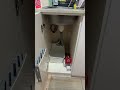 幹幹幹完了完了完了房東沒接我電話在線等 thumbnail