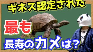 最も長生きなカメは？世界最高齢の陸生生物【雑学・ギネス】