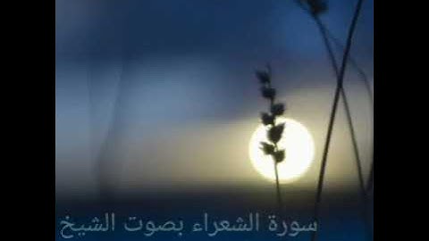 تلاوة جميلة وهادئة سورة الشعراء بصوت الشيخ اسلام صبحي