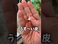 カメレオンの脱皮おもろすぎw
