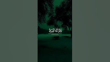 وَظَنَّ أَنَّهُ الْفِرَاقُ 💔 | تلاوة خاشعة بصوت القارئ حسان النحلاوي